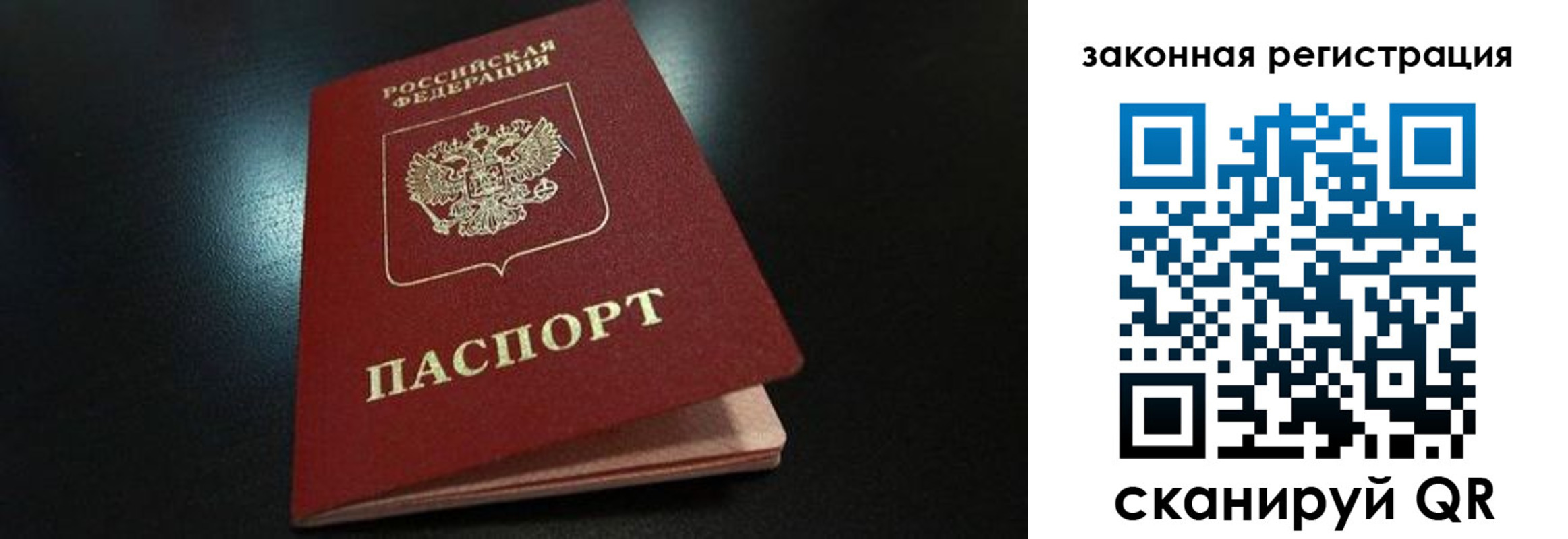 прописка 2025 в Камышине